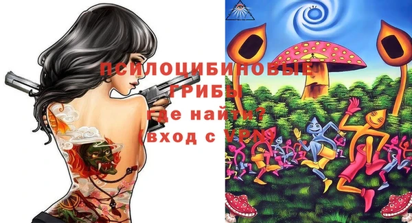 меф Новодвинск