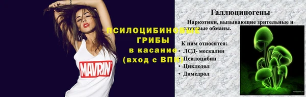 эйфоретик Новозыбков