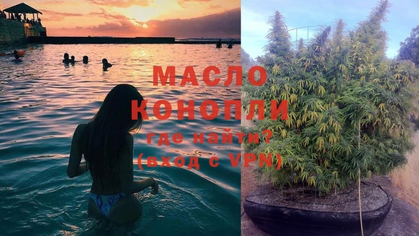 стаф Новокубанск