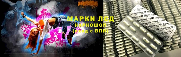 PSILOCYBIN Нефтекумск