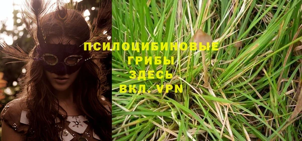 твердый Нея