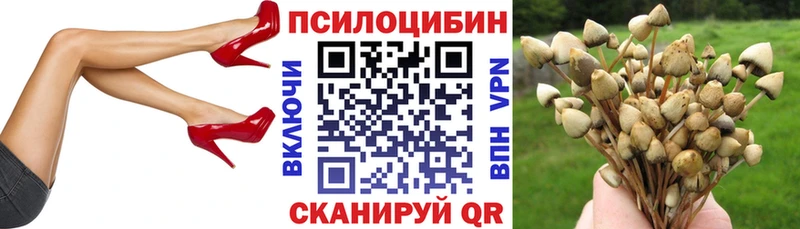Псилоцибиновые грибы Psilocybine cubensis  купить  сайты  darknet формула  Клинцы 